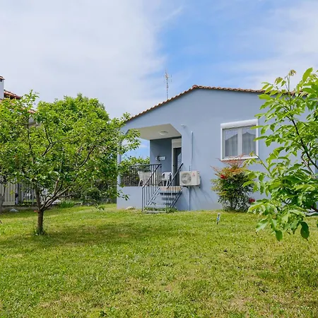 The Blue House