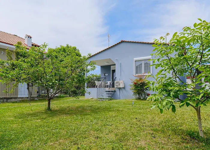 The Blue House